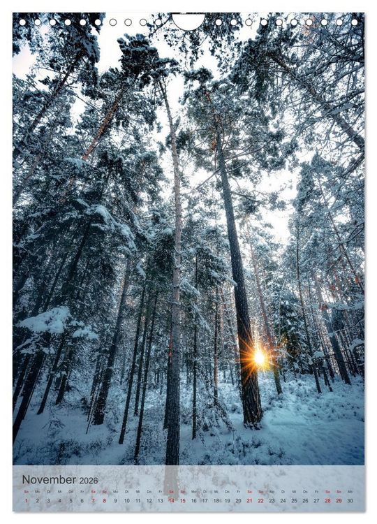 Produktbild: Winter Spaziergang (Wandkalender 2026 DIN A4 hoch), CALVENDO Monatskalender