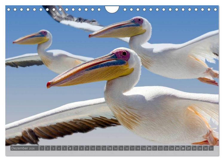 Produktbild: Namibia - Die Tierwelt (Wandkalender 2026 DIN A4 quer), CALVENDO Monatskalender