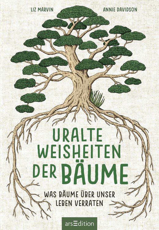 topfpflanze hoch Glücksfeder XL | Zamioculcas zamiifolia main image 1
