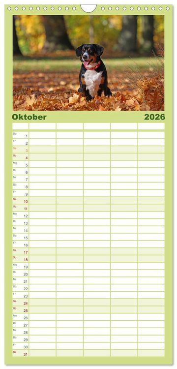 Produktbild: Familienplaner 2026 - Entlebucher Sennenhund - treue Freunde mit 5 Spalten (Wandkalender, 21 x 45 cm) CALVENDO
