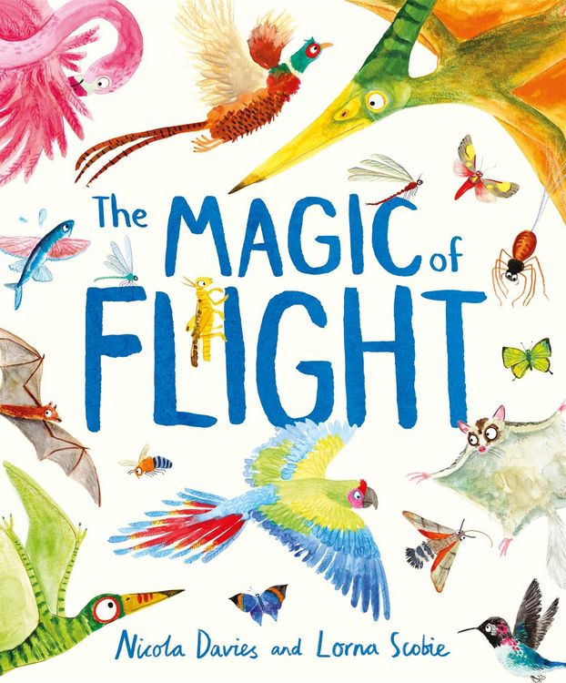 Produktbild: The Magic of Flight