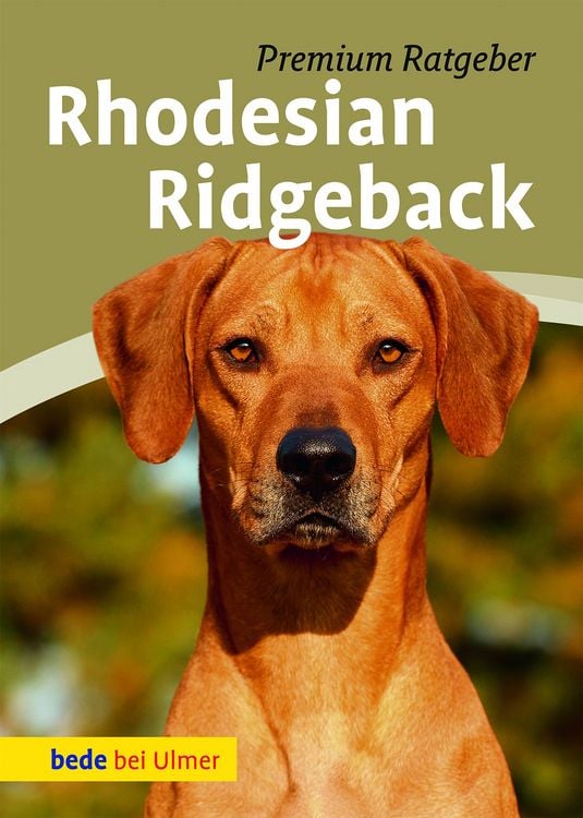 Produktbild: Rhodesian Ridgeback