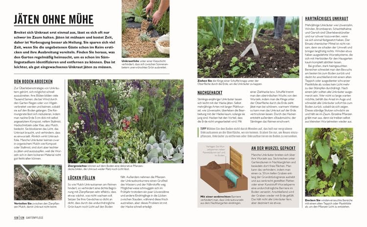 Produktbild: Gr&uuml;nes Gartenwissen. G&auml;rtnern mit wenig Aufwand