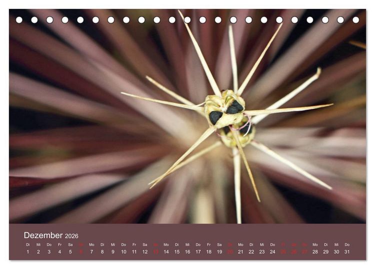 Produktbild: Fantastische Reise in die Welt der Blumen (Tischkalender 2026 DIN A5 quer), CALVENDO Monatskalender