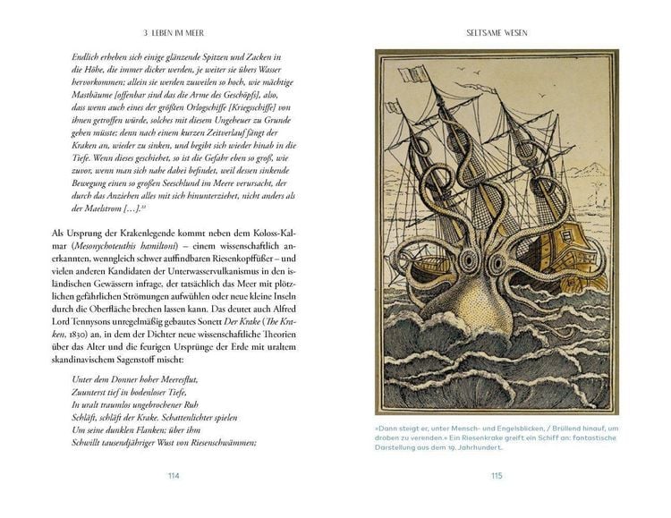 Produktbild: Das Meer