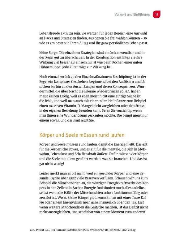 Produktbild: Der Burnout-Notfallkoffer