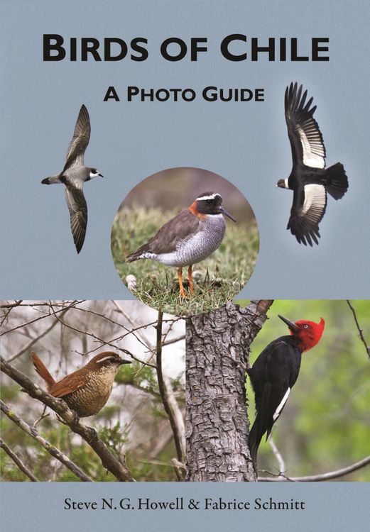 Produktbild: Birds of Chile