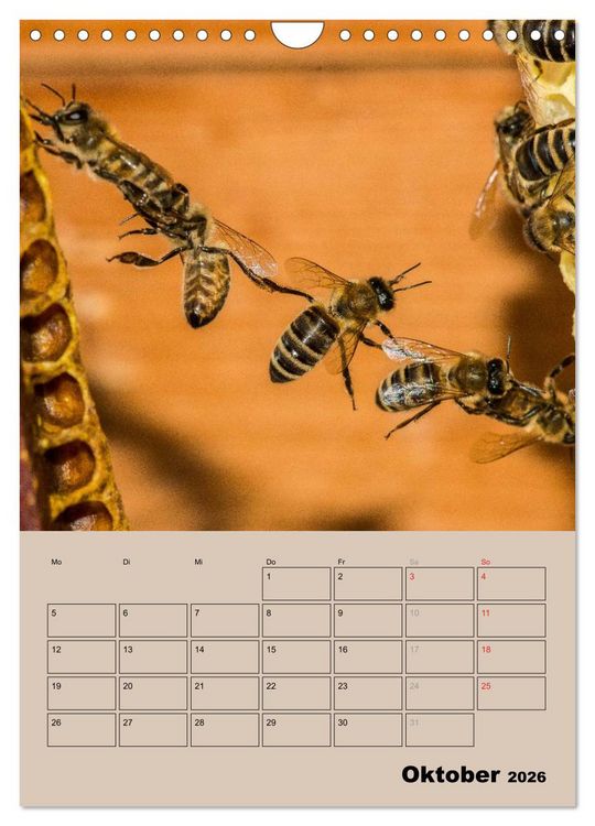 Produktbild: Bienenplaner (Wandkalender 2026 DIN A4 hoch), CALVENDO Monatskalender