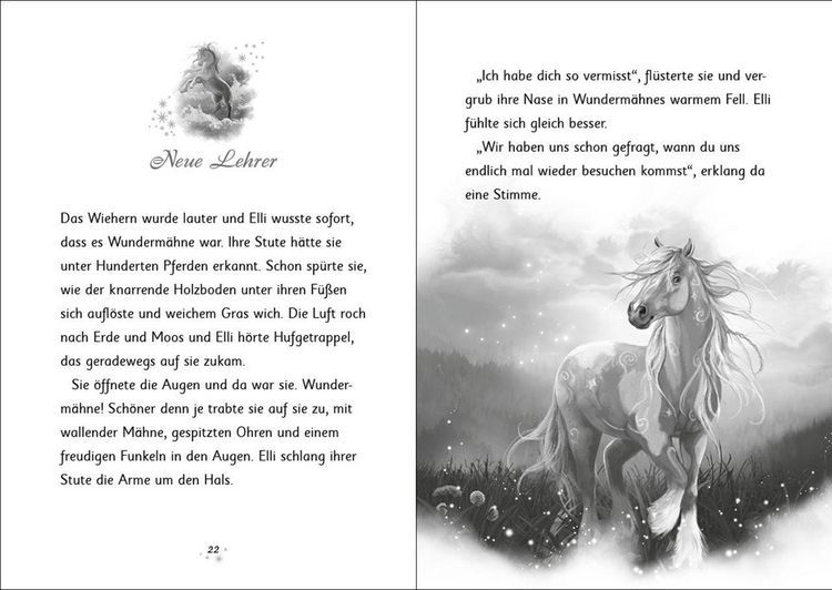 Produktbild: Wunderm&auml;hne (Band 6) - Der Zauber der Wasserpferde