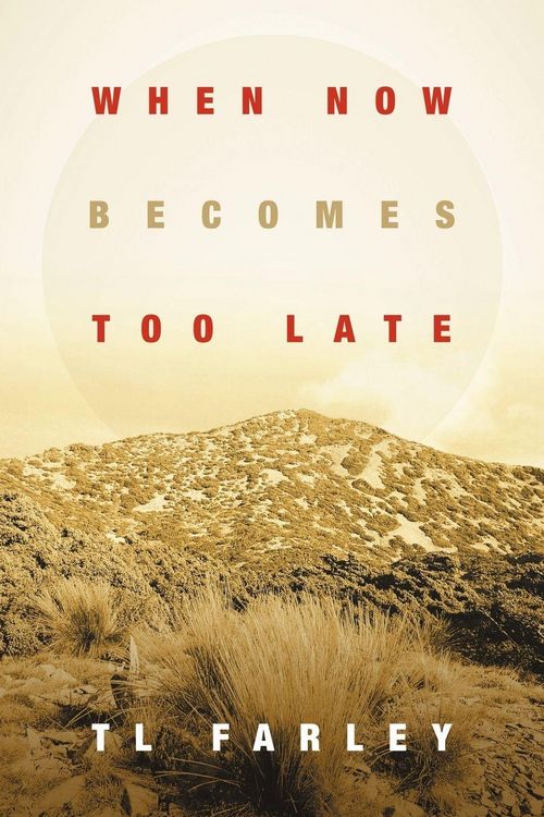 Produktbild: When Now Becomes Too Late