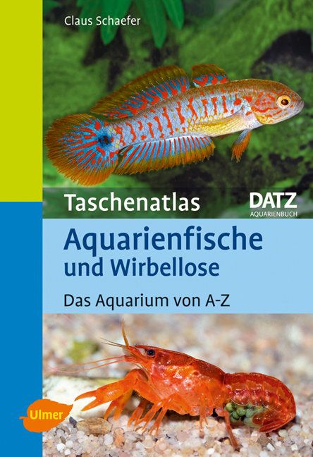 Produktbild: Aquarienfische und Wirbellose