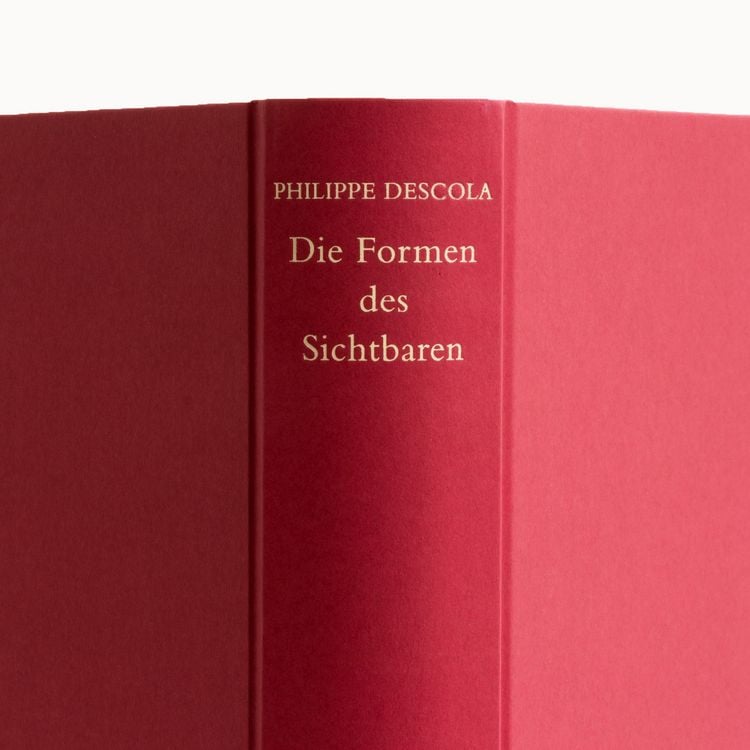 Produktbild: Die Formen des Sichtbaren