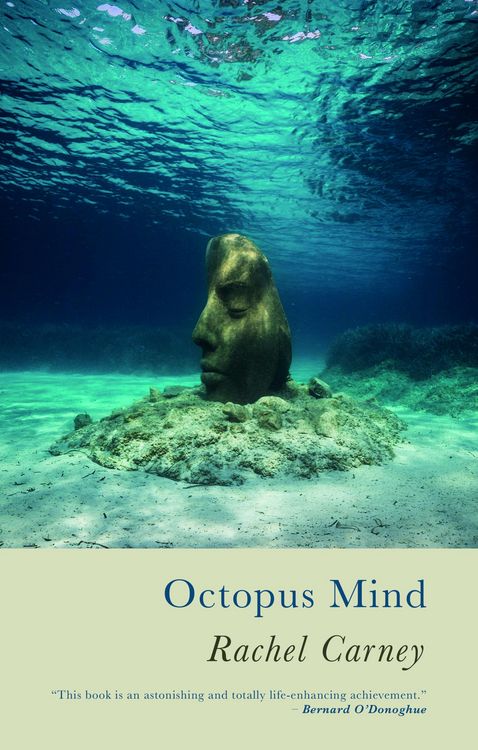 Produktbild: Octopus Mind