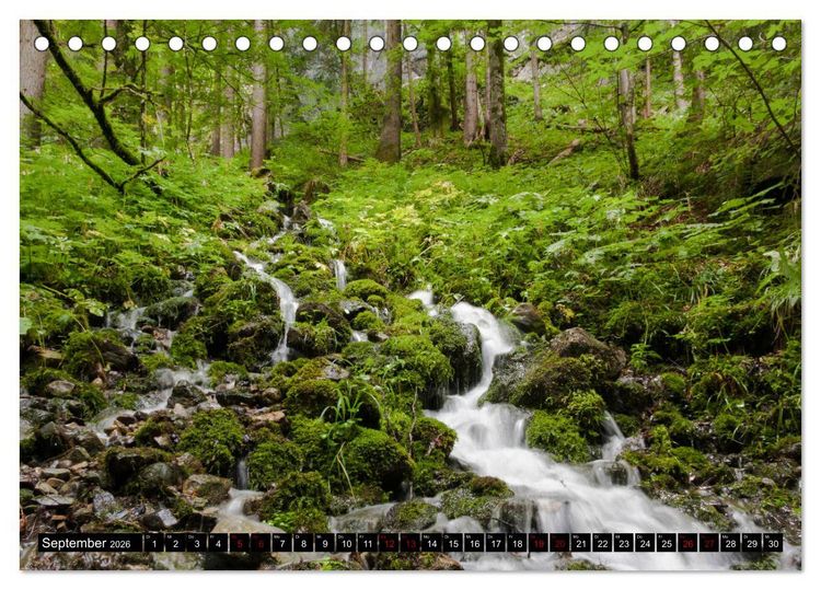 Produktbild: Waldwasser (Tischkalender 2026 DIN A5 quer), CALVENDO Monatskalender