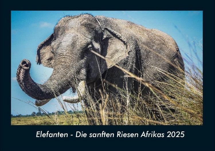 Produktbild: Elefanten - Die sanften Riesen Afrikas 2025 Fotokalender DIN A4