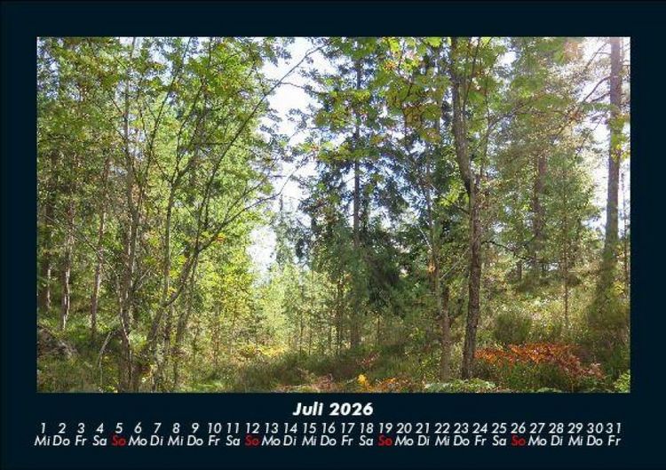 Produktbild: B&auml;ume 2026 Fotokalender DIN A5
