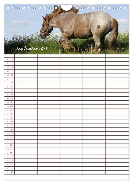 Produktbild: Der Kaltblut-Familienplaner (Wandkalender 2026 DIN A4 hoch), CALVENDO Monatskalender