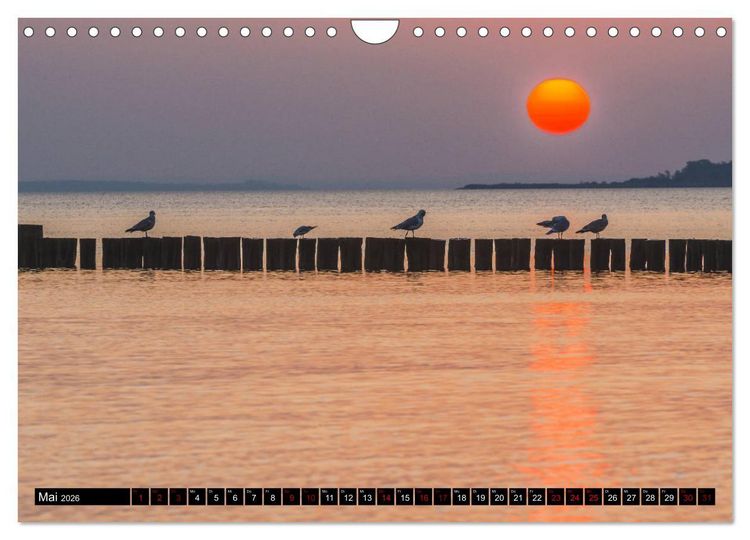Produktbild: Ostsee - Boltenhagen (Wandkalender 2026 DIN A4 quer), CALVENDO Monatskalender