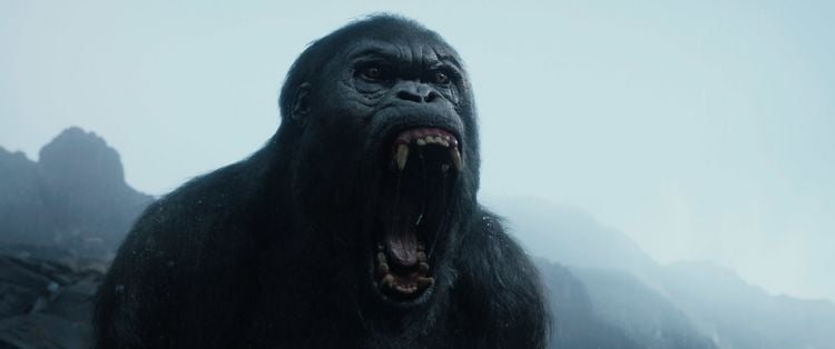 Produktbild: Legend of Tarzan