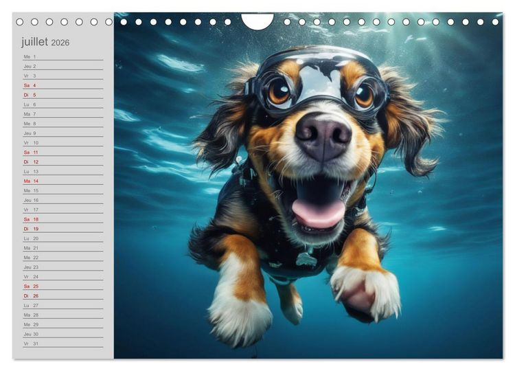 Produktbild: Chiens : les nageurs intr&eacute;pides (Calendrier mural 2026 DIN A4 vertical), CALVENDO calendrier mensuel