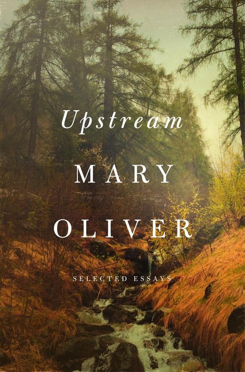 Produktbild: Upstream