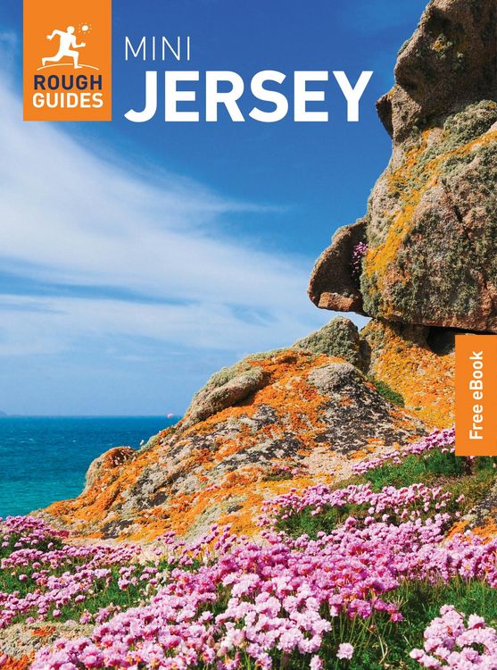 Produktbild: Rough Guides Mini Jersey: Travel Guide with eBook