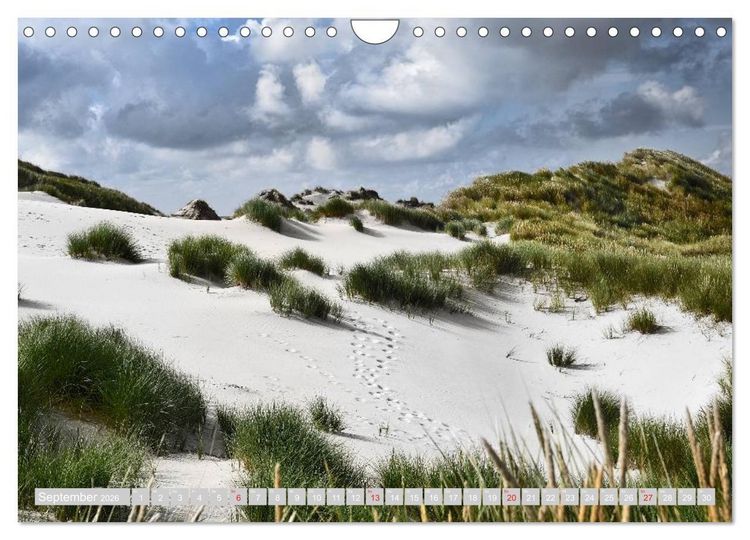 Produktbild: Amrum, die Perle in der Nordsee (Wandkalender 2026 DIN A4 quer), CALVENDO Monatskalender