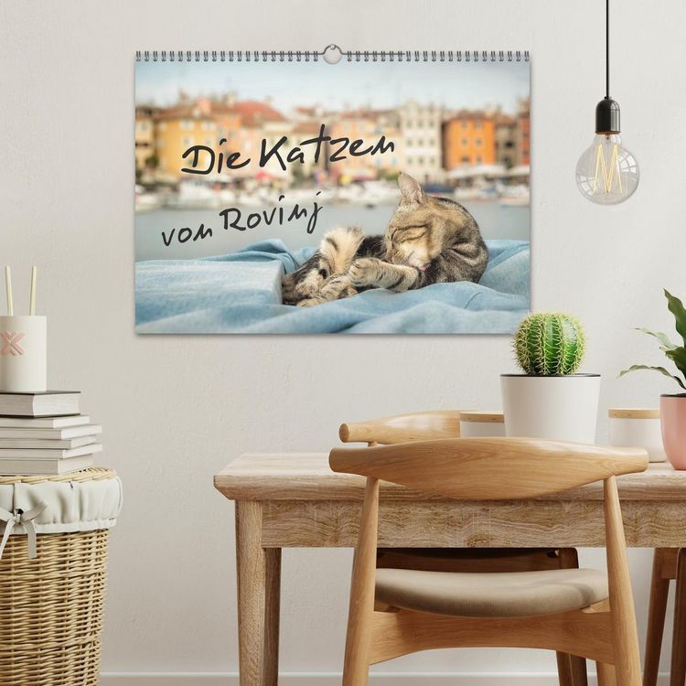 Produktbild: Die Katzen von Rovinj (Wandkalender 2026 DIN A3 quer), CALVENDO Monatskalender