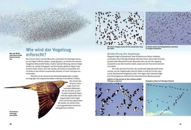 Produktbild: Entdecke die Zugv&ouml;gel
