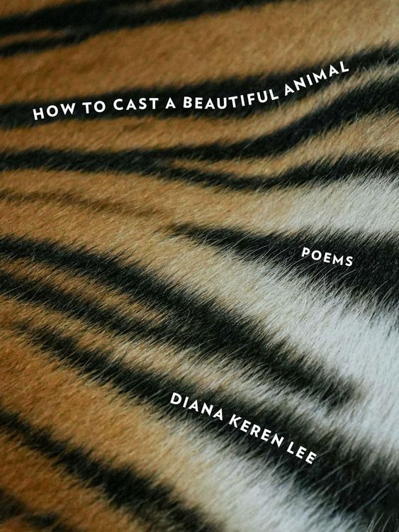 Produktbild: How to Cast a Beautiful Animal