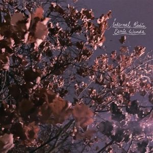 Produktbild: INTERNAL RADIO (Ltd.LAVENDER VINYL)