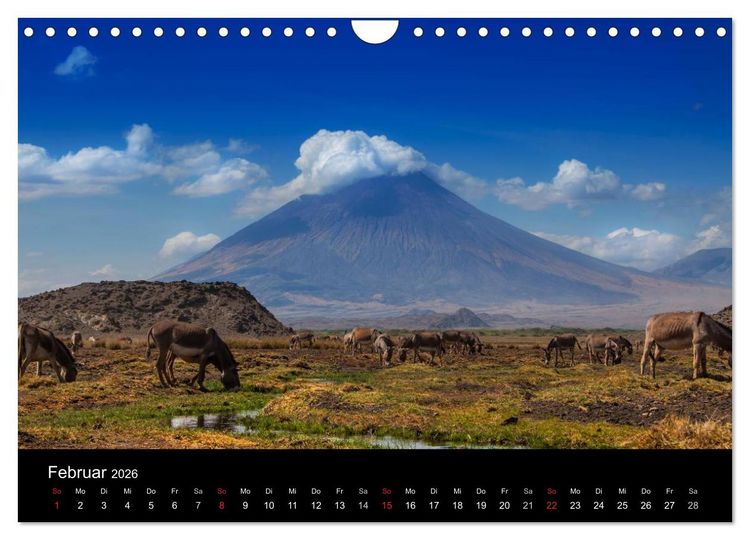 Produktbild: Wildes Afrika (Wandkalender 2026 DIN A4 quer), CALVENDO Monatskalender
