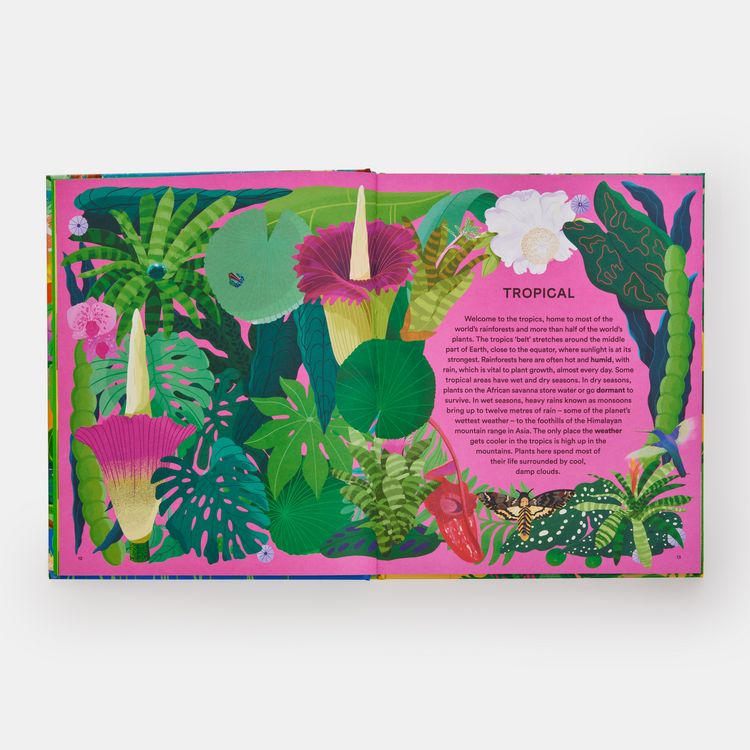 Produktbild: A Home for Every Plant