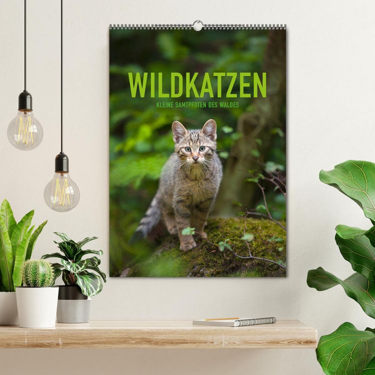 Produktbild: Wildkatzen - Kleine Samtpfoten des Waldes (Wandkalender 2026 DIN A2 hoch), CALVENDO Monatskalender