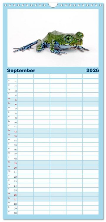 Produktbild: Familienplaner 2026 - Farbenpracht der Fr&ouml;sche mit 5 Spalten (Wandkalender, 21 x 45 cm) CALVENDO