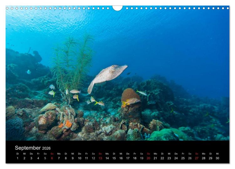 Produktbild: Abgetaucht - an den K&uuml;sten vor Cura&ccedil;ao (Wandkalender 2026 DIN A3 quer), CALVENDO Monatskalender