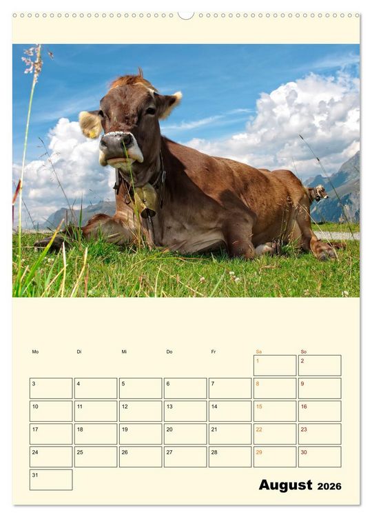 Produktbild: Gl&uuml;ckliche Bergk&uuml;he (Wandkalender 2026 DIN A2 hoch), CALVENDO Monatskalender