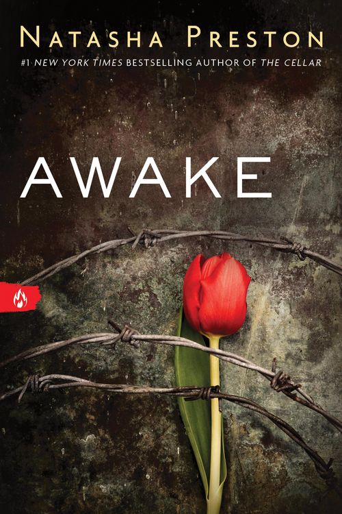 Produktbild: Awake