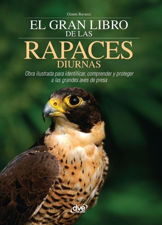 Produktbild: El gran libro de las rapaces diurnas