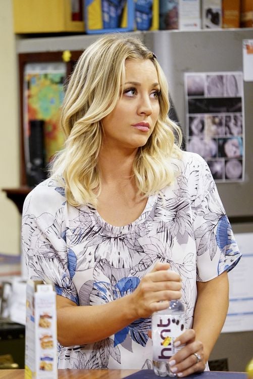 The Big Bang Theory - Staffel 10 [3 DVDs]