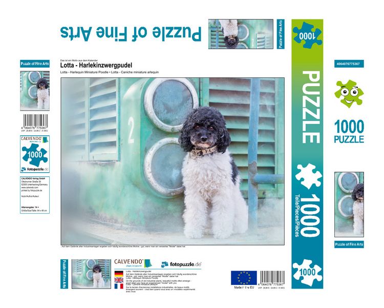 Produktbild: CALVENDO Puzzle Lotta - Harlekinzwergpudel 1000 Teile Lege-Gr&ouml;&szlig;e 640 x 480 cm Foto-Puzzle Bild von None www.boegau.de
