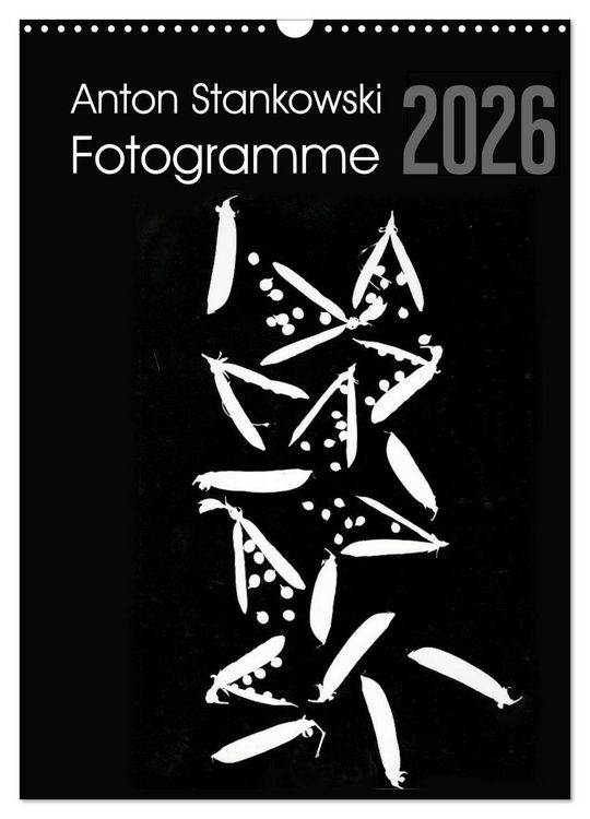 Produktbild: Anton Stankowski Fotogramme (Wandkalender 2026 DIN A3 hoch), CALVENDO Monatskalender