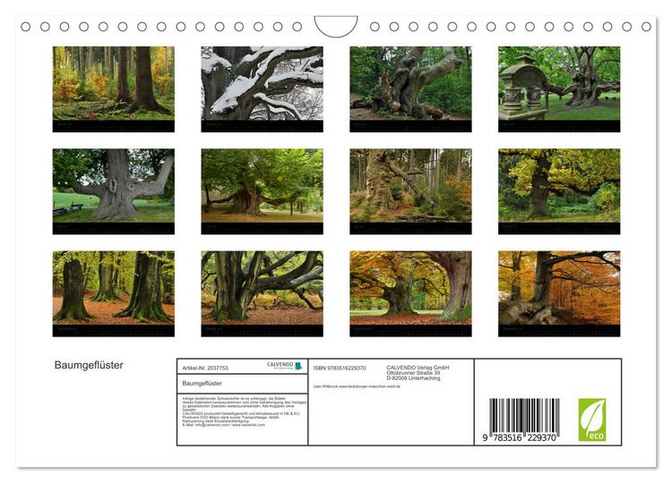 Produktbild: Baumgefl&uuml;ster (Wandkalender 2026 DIN A4 quer), CALVENDO Monatskalender