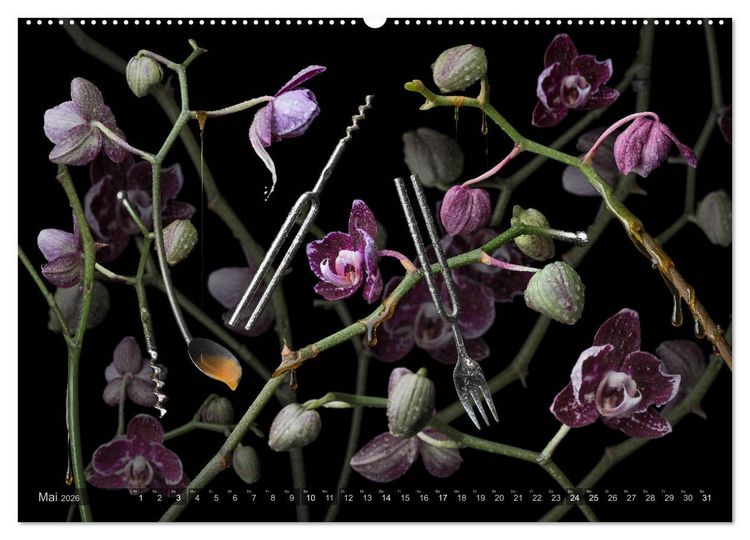 Produktbild: Musica fant&aacute;sia - Die wundersame Welt des Fotok&uuml;nstlers Olaf Bruhn (Wandkalender 2026 DIN A2 quer), CALVENDO Monatskalender