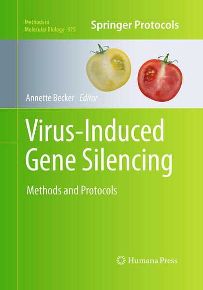 Produktbild: Virus-Induced Gene Silencing