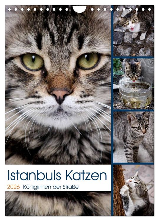 Produktbild: Istanbuls Katzen (Wandkalender 2026 DIN A4 hoch), CALVENDO Monatskalender