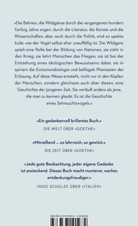 Produktbild: Rauschen in der Nacht