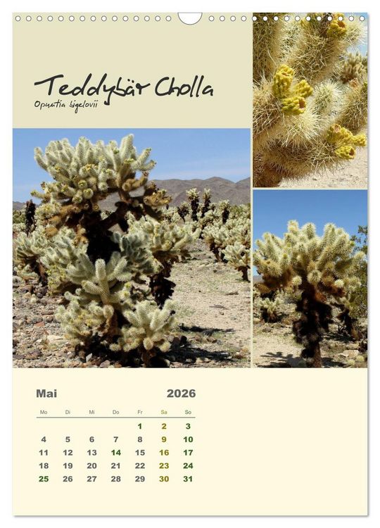 Produktbild: Kakteen der US-S&uuml;dweststaaten (Wandkalender 2026 DIN A3 hoch), CALVENDO Monatskalender