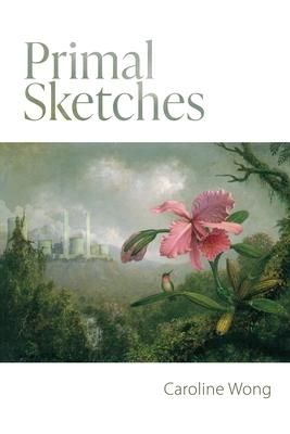 Produktbild: Primal Sketches