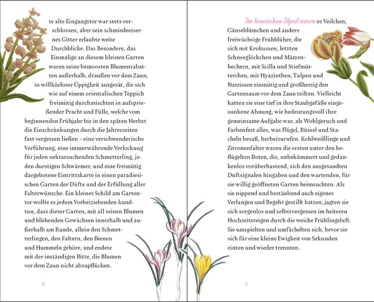 Produktbild: Der kleine Schmetterlingsgarten